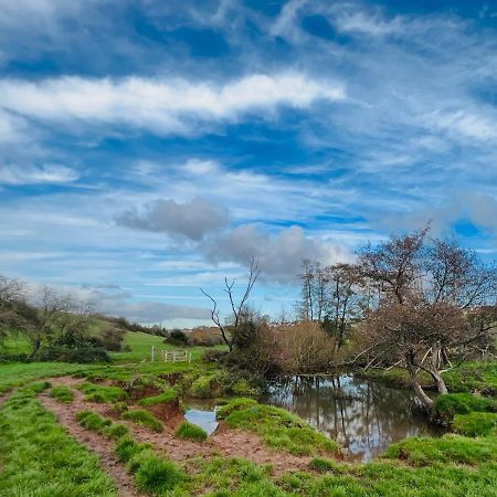 Dapps Hill Haven - Between Bristol And Bath, Both 9 Mins By Train! Keynsham Buitenkant foto