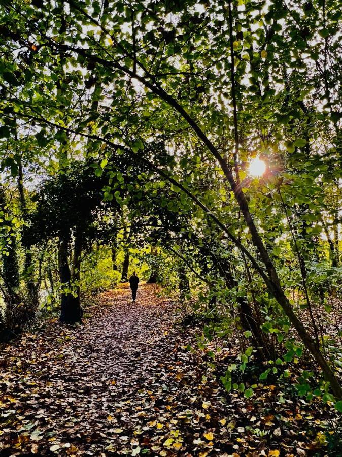 Dapps Hill Haven - Between Bristol And Bath, Both 9 Mins By Train! Keynsham Buitenkant foto