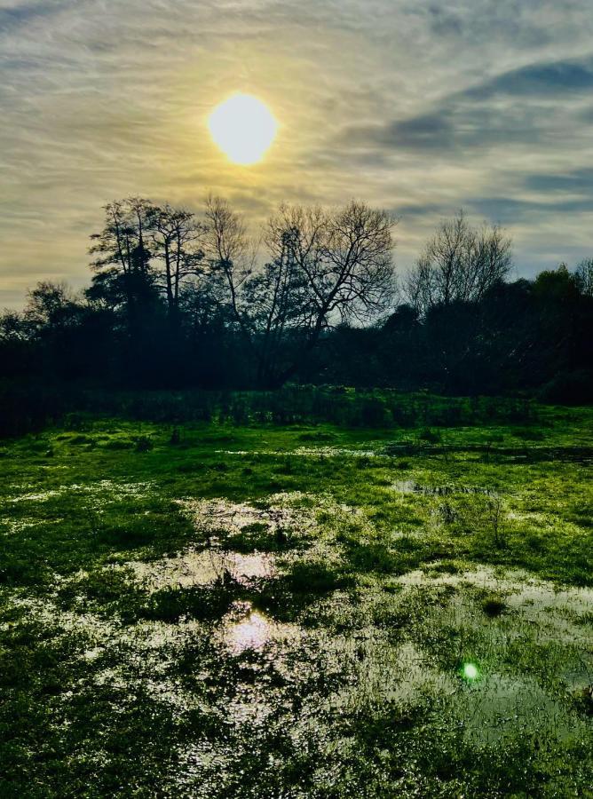 Dapps Hill Haven - Between Bristol And Bath, Both 9 Mins By Train! Keynsham Buitenkant foto