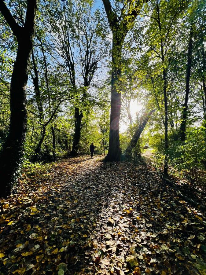 Dapps Hill Haven - Between Bristol And Bath, Both 9 Mins By Train! Keynsham Buitenkant foto