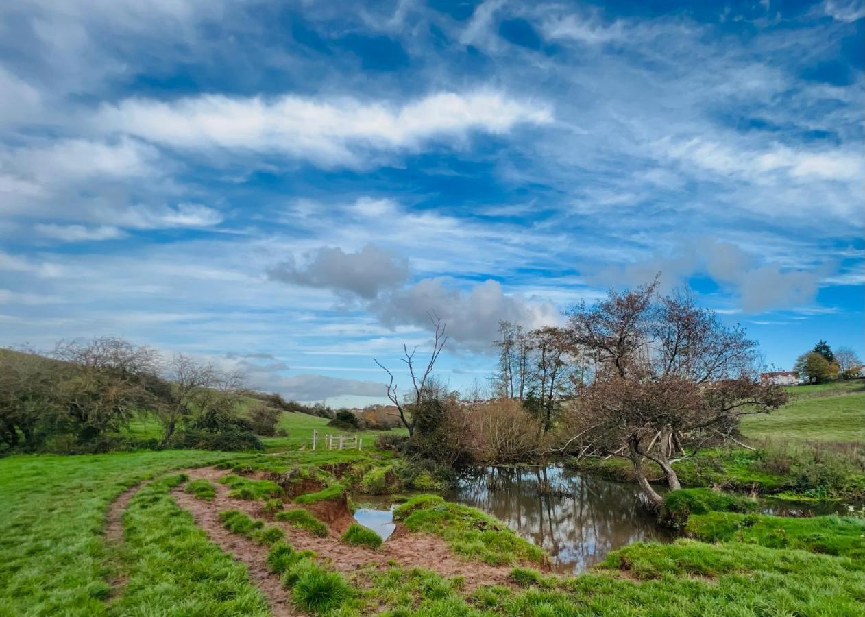 Dapps Hill Haven - Between Bristol And Bath, Both 9 Mins By Train! Keynsham Buitenkant foto